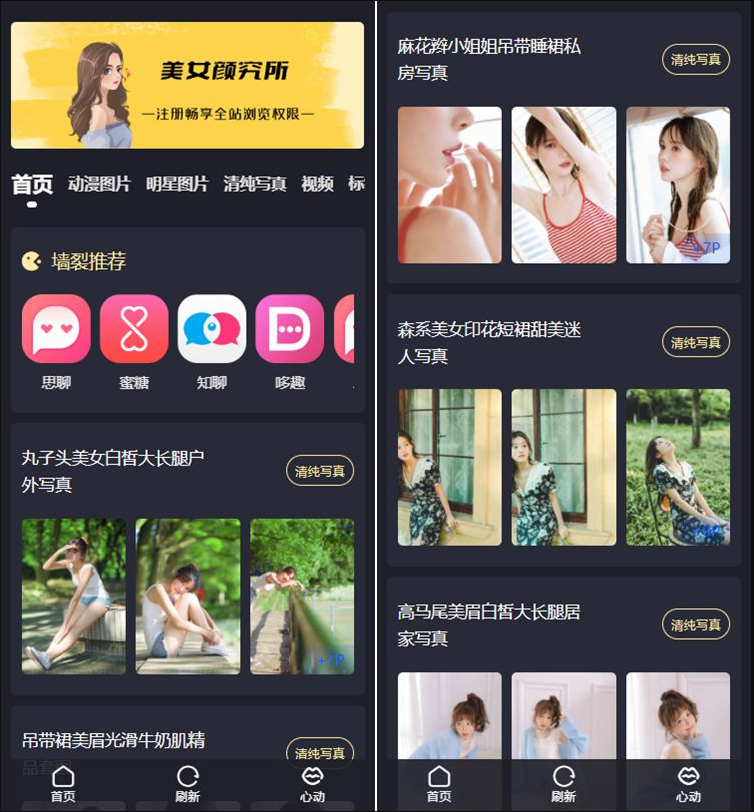 最新抖你妹原版主题源码仿抖音模式套图SEO源码_Wordpress图片主题